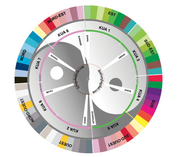 LE PAKUA MAGIQUE - L’outil indispensable pour aligner votre maison sur votre énergie personnelle - Pour en finir avec les erreurs de Calcul - Vendu Exclusivement ici !