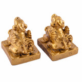 Couple de Pi Xiu Or Protection et Richesse